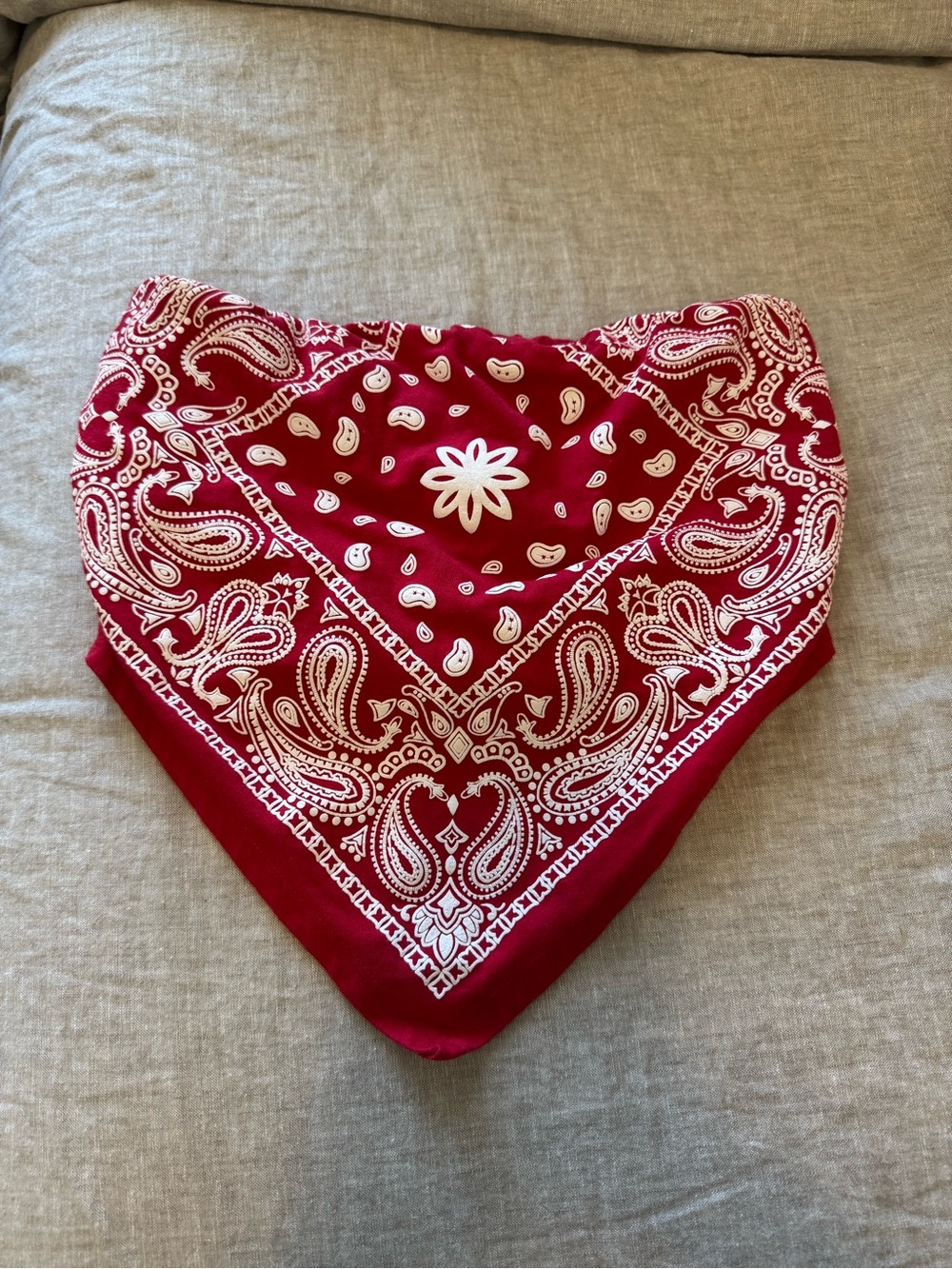 Red Bandana Crop Top